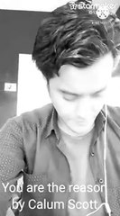 You are the reason by Calum scott