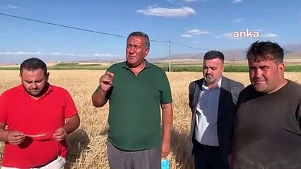 Üretici saman bulamıyor: Hayvanları kestirmek zorundayız