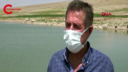 Sular çekildi, balıklar öldü