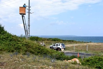 Sinop'ta akıma kapılan inek telef oldu
