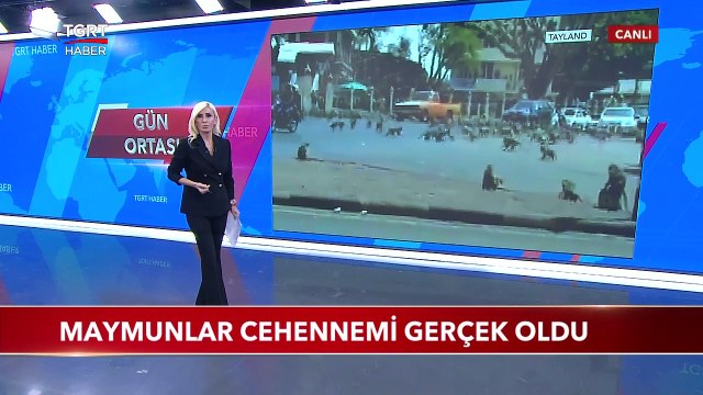 Aç Maymunlar Tayland Sokaklarını kuşattı