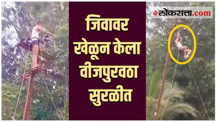 वीजपुरवठा सुरळीत करण्यासाठी महावितरण कामगाराने लावली प्राणांची बाजी