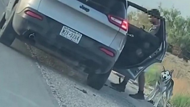 Une famille abandonne leur chien au bord de la route