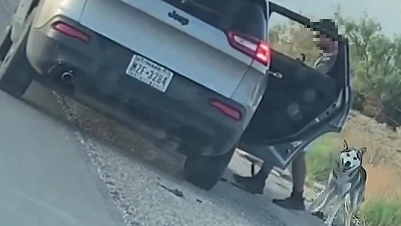 Une famille abandonne leur chien au bord de la route