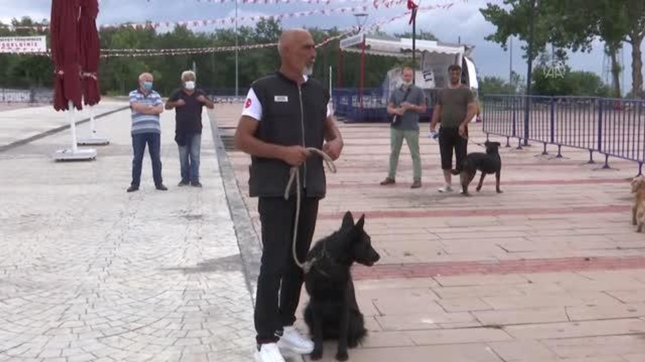 "Köpek Eğitmenliği Eğitimi Sertifika Kursu" düzenlendi