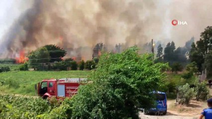 Hatay'da sazlık yangını