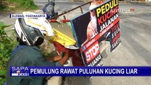 Pemulung Sleman Selamatkan Kucing Liar dengan Kondisi Lapar atau Terluka