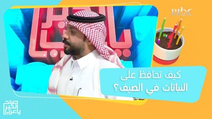 نصائح للاعتناء بالنباتات خلال فترة الصيف