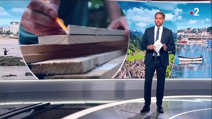 Royaume-Uni : les Britanniques, nouveaux adeptes des cabanes de jardin