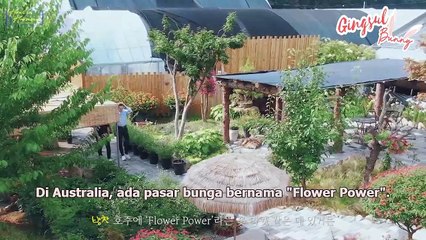 [INDO SUB] STRAYKIDS - SKZ SONG CAMP Ep.03 BeKka Kings (Howl in Harmony)