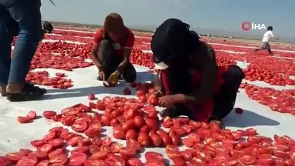 Diyarbakır'da çöpe gidiyordu şimdi tüm dünyaya satılıyor