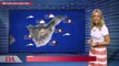 La previsión del tiempo en Canarias para el 28 de julio de 2021
