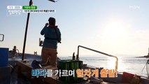 뜨거운 태양을 피해 (⌐■ _ ■) 아침부터 선상 데이트!