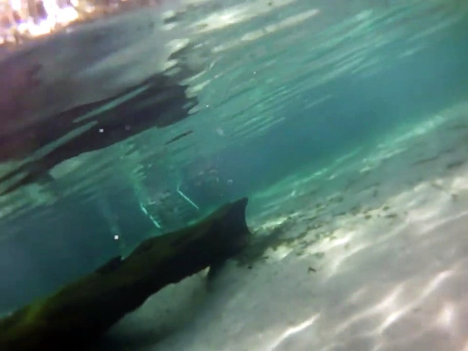 2020 Exterior - Establishing Shot - Water Girl - Day