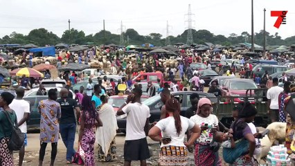 Tabaski - à chacun son mouton