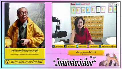 โควิดในสุนัขและแมว ไซนัสอักเสบกับต่อมทอนซิลอักเสบในสุนัข EP.2 : FM91 คลินิกสัตว์เลี้ยง : 20 ธันวาคม 2563