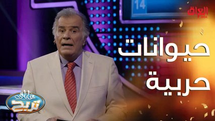 حيوانات استخدمها الإنسان بالحرب.. غير الحصان