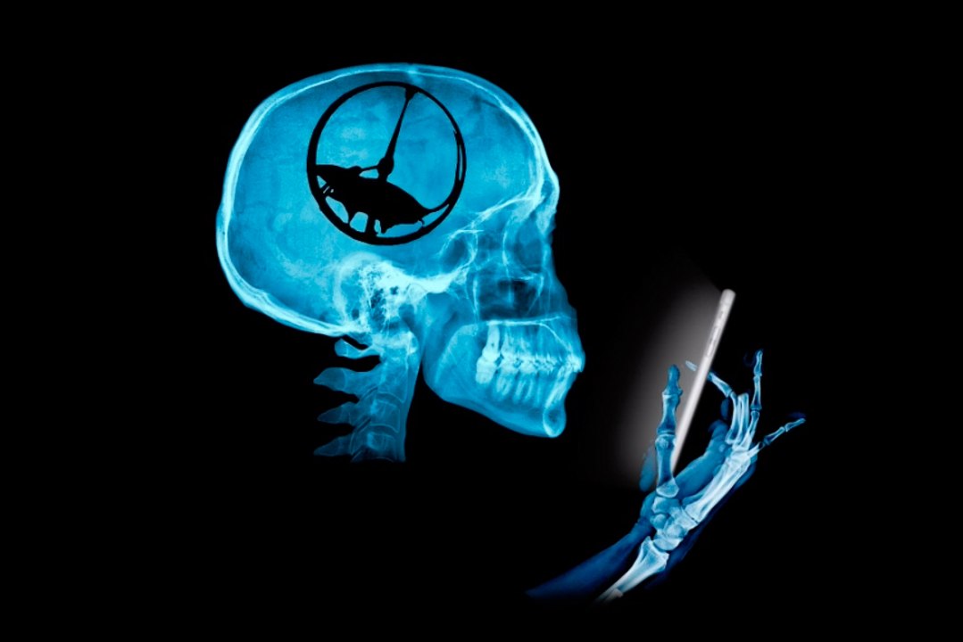 'Ratas', de Luis Parejo