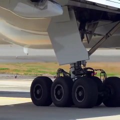 Clearence for takeoff#shorts