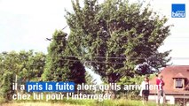 En Dordogne, les gendarmes lancés à la recherche d'un individu à Thiviers
