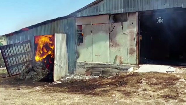 UŞAK - Yangında 55 küçükbaş hayvan telef oldu