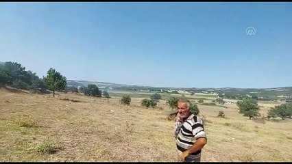 ÇANAKKALE - Ormanlık alanda çıkan yangında 10 hektar alan zarar gördü