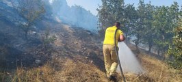 Son dakika haberleri... ÇANAKKALE - Ormanlık alanda çıkan yangında 10 hektar alan zarar gördü