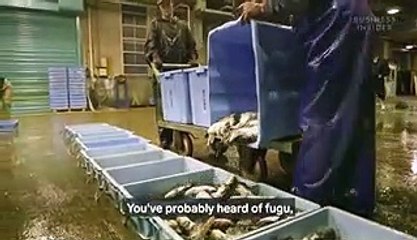 The Japanese eat 10,000 tons of fugu each year. Here's what makes the poisonous pufferfish so expensive.