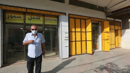 العلاج بلسعات النحل في غزة: بادرة أمل ظاهرة خاطئة؟