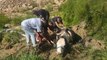 Bataklığa saplanan inek itfaiye ekiplerinin yardımıyla kurtarıldı