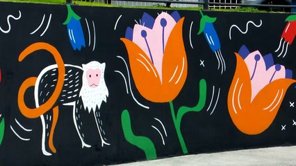 tn7-publireportaje-macdonalds-270721