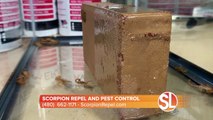 Scorpion Repel and Pest Control - Help keeping scorpions and bugs OUT of your home