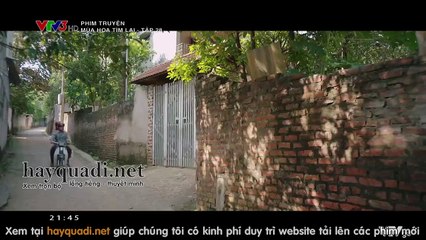 phim mua hoa tim lai - tap 28 - tap cuoi - xem mùa hoa tìm lại tập cuối