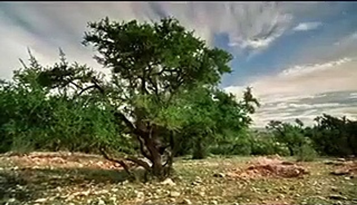 NOVELA GÊNESIS CAPITULO 138 COMPLETO - 29-07-2021 SEGUNDA