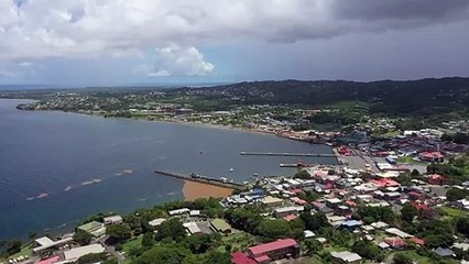 Brazilian Variant Found In Tobago