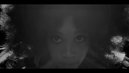 Paul Kelly - Eurydice And The Tawny Frogmouth