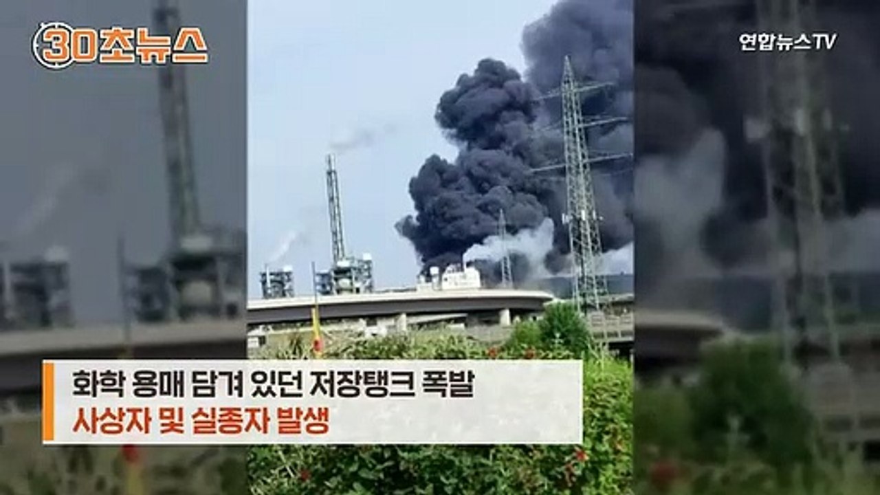 [30초뉴스] 독일 레버쿠젠 화학공단서 대폭발…굉음 속 도시 뒤덮은 버섯구름