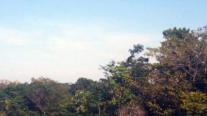 Boeing 737 MAX 8 PR-XMF llega hacia Manaus desde Fortaleza (27/07/2021)