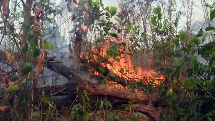 'Sinais vitais da Terra estão enfraquecendo'