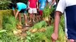 Udupi Youths Had Turned Dry Land Into Agriculture Land