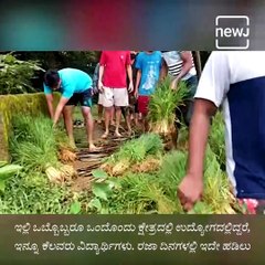 Udupi Youths Had Turned Dry Land Into Agriculture Land