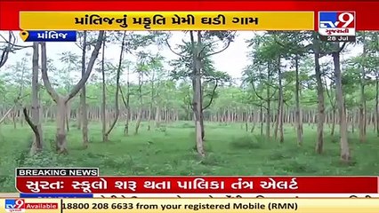 Residents of Ghadi village undertake plantation of 4,000 to 5,000 trees during arrival of monsoon