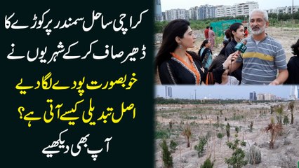 Karachi sahil e samandar per koorray ka dher saaf kar k shehrio ne khubsurat poday lga diye, asl tabdeeli kese ati hai? Aap b dekhiye