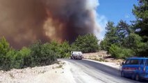 ANTALYA - Orman yangınına hava ve karadan müdahale ediliyor