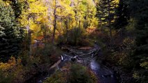 Aerial Video Tour with Satellite Mapping | 300 Black Bear Road | Bozeman MT