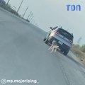 Un chien se fait abandonner et court après la voiture de son maître