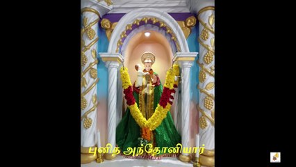 அந்தோணியார் பாடல் | இறைவனின் புனிதரே வாழ்க பாடல் வரிகள் | Iraivanin Punithare Vazhka Song Lyrics
