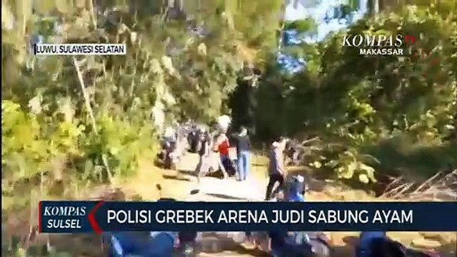 Polisi Gerebek Arena Judi Sabung Ayam