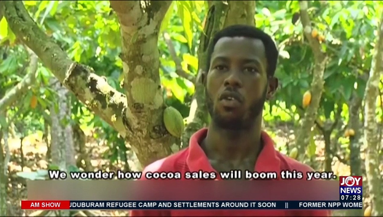 Payment of Cocoa Farmers: Exploring viability of cocoa farming amid Covid - AM Business on JoyNews (28-7-21)