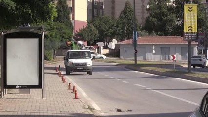 Popülasyonu artan "dantel böceği"ne karşı ilaçlama çalışması başlatıldı